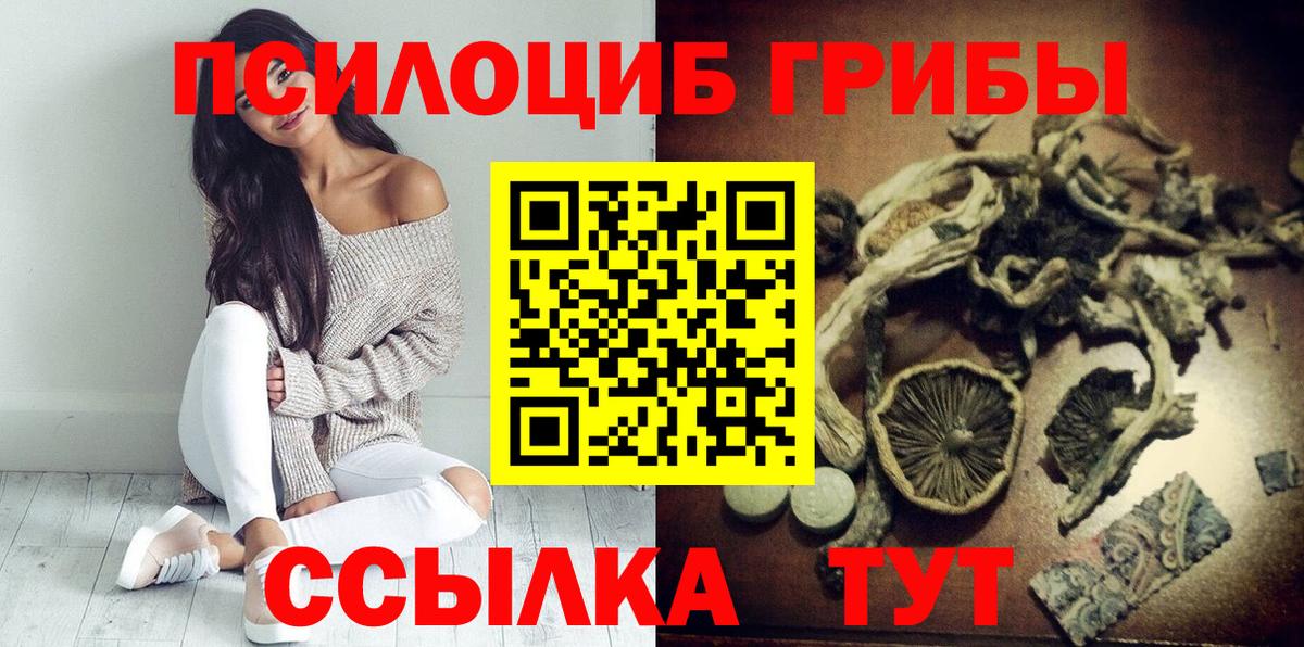 Шатура  Псилоцибиновые грибы прущие грибы  Вход с VPN 