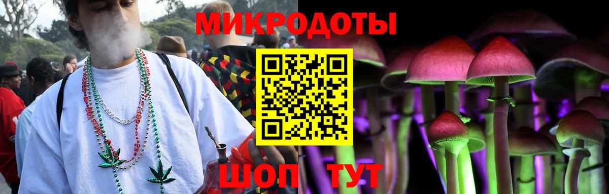Псилоцибиновые грибы мухоморы Шатура